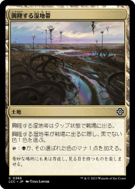 0365 【JP】 興隆する湿地帯/Thriving Moor LCC