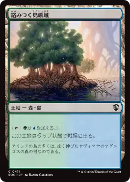 0411 【JP】 絡みつく島嶼域/Tangled Islet SOC