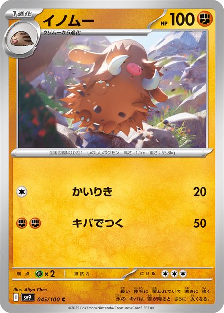 0045 【C】 イノムー SV9