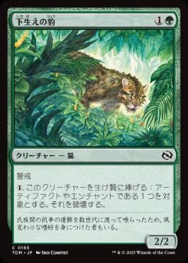 0165 【JP】 下生えの豹/Undergrowth Leopard TDM