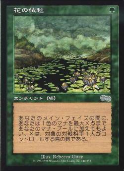 0240 【JP】 花の絨毯/Carpet of Flowers USG