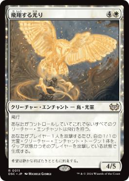 0011 【JP】 飛翔する光り/Soaring Lightbringer DSC