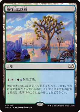 0293 【JP】 溢れ出た区画/Overflowing Basin DSC