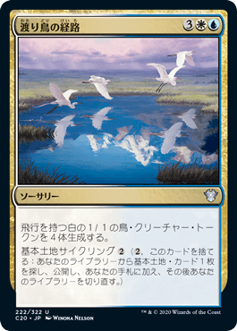 0222 【JP】 渡り鳥の経路/Migratory Route C20